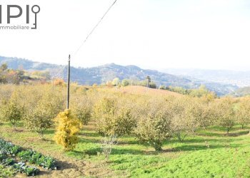 Foto 62 - Villa REGIONE OVRANO CASTELLO
 
6, Acqui Terme - foto 62