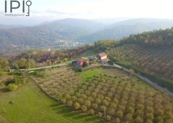 Foto 65 - Villa REGIONE OVRANO CASTELLO
 
6, Acqui Terme - foto 65