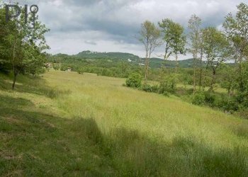 Foto 62 - Rustico viale papa Giovanni XXIII, Cartosio - foto 58