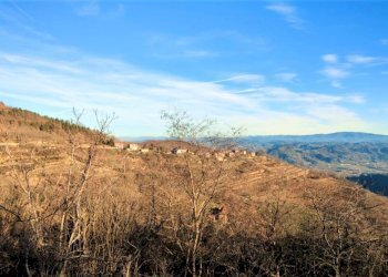 Foto 24 - Villa Loc. Vengore
 
10, Roccaverano - foto 24