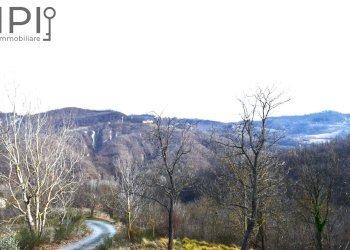 Foto 79 - Rustico località Rocca bianca, Cartosio - foto 79