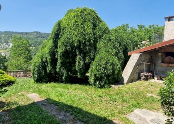 Foto 5 - Villa Loc. Correnti
 
1, Spigno Monferrato - foto 5