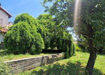 Foto 36 - Villa Loc. Correnti
 
1, Spigno Monferrato - foto 36