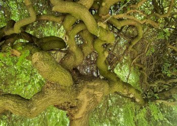 Foto 42 - Villa Loc. Correnti
 
1, Spigno Monferrato - foto 42