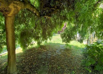 Foto 43 - Villa Loc. Correnti
 
1, Spigno Monferrato - foto 43