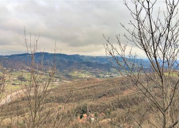 Foto 8 - Rustico Via Gaggioni
 
10, Montechiaro d'Acqui - foto 8