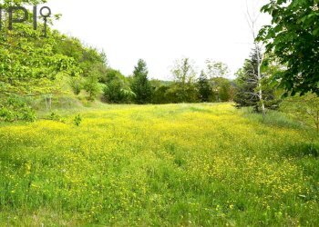 Foto 20 - Villa regione oltrebormida, Melazzo - photo 20