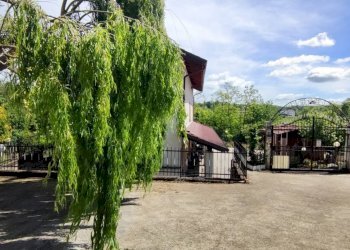 Foto 9 - Villa regione calzapello, Incisa Scapaccino - foto 9