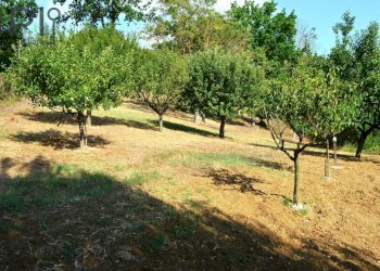 Foto 18 - Villa regione calzapello, Incisa Scapaccino - foto 18