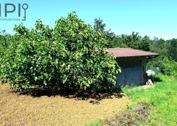 Foto 57 - Villa regione calzapello, Incisa Scapaccino - foto 53