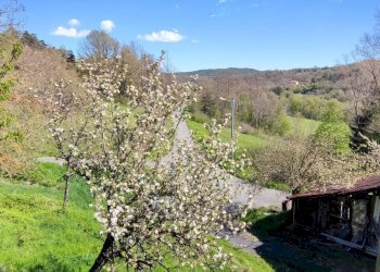 Foto 11 - Semi-detached house Loc Brosi
 
20, Dego - photo 11