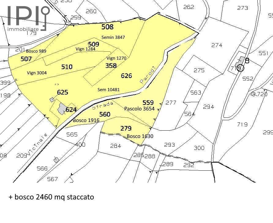 Foto 24 - Rustico Pian del Duca
 
1, Vesime - planimetria 1