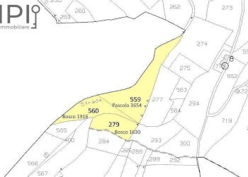 Foto 25 - Rustico Pian del Duca
 
1, Vesime - foto 24