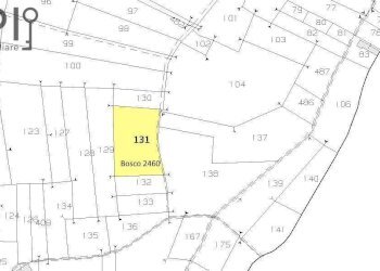 Foto 26 - Rustico Pian del Duca
 
1, Vesime - foto 25