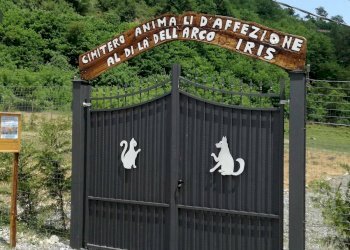 Foto 1 - Attività Commerciale Roccavignale - foto 1