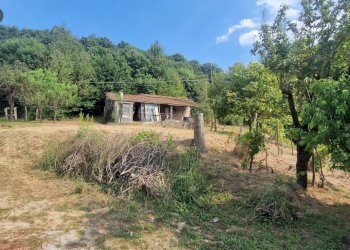 Foto 15 - Casa indipendente Cairo Montenotte - foto 15