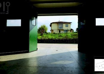 Foto 86 - Villa via bella parancone
 
3, Mombaruzzo - foto 86