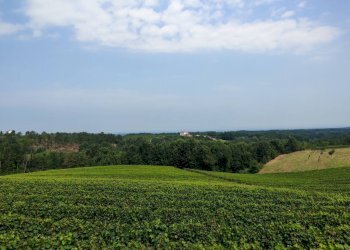 Foto 90 - Villa via bella parancone
 
3, Mombaruzzo - foto 90