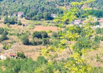 Foto 5 - Rustico Frazione MOntaldo
 
1, Spigno Monferrato - foto 5