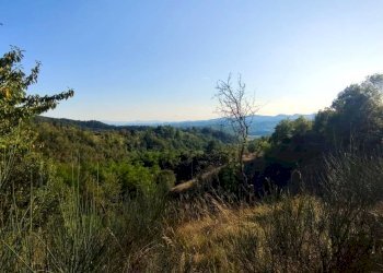 Foto 11 - Rustico Frazione MOntaldo
 
1, Spigno Monferrato - foto 11