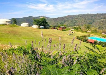 Foto 26 - Rustic Via Castino
 
1, Bosia - photo 26