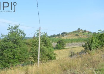 Foto 10 - Villa loc. sorba, Pareto - foto 10