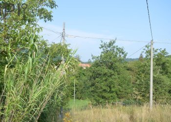 Foto 11 - Villa loc. sorba, Pareto - foto 11