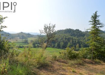 Foto 12 - Villa loc. sorba, Pareto - foto 12