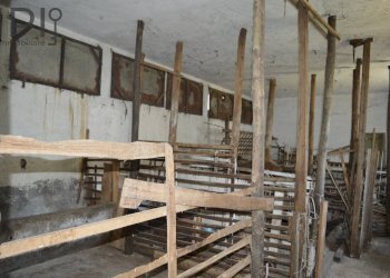 Foto 95 - Villa loc. sorba, Pareto - foto 95