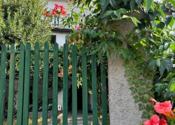 Foto 97 - Casa semi indipendente località barberis, Osiglia - foto 97