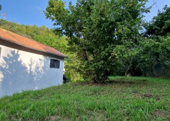 Foto 21 - Casa semi indipendente Murialdo - foto 21