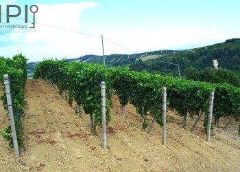 Foto 34 - Rustic regione garofina, Quaranti - photo 34