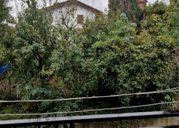 Foto 12 - Quadrilocale Cengio - foto 12