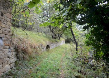 Foto 45 - Rustic LOC. Gisuole, Gorzegno - photo 45