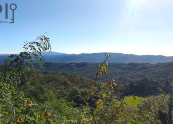 Foto 4 - Rustico Loc Ganci
 
5, Dego - foto 4