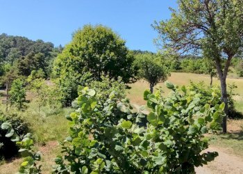 Foto 53 - Rustico frazione girini, Dego - foto 52