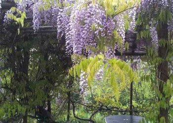 Foto 3 - Villa Pieve
 
172, Ponzone - foto 3