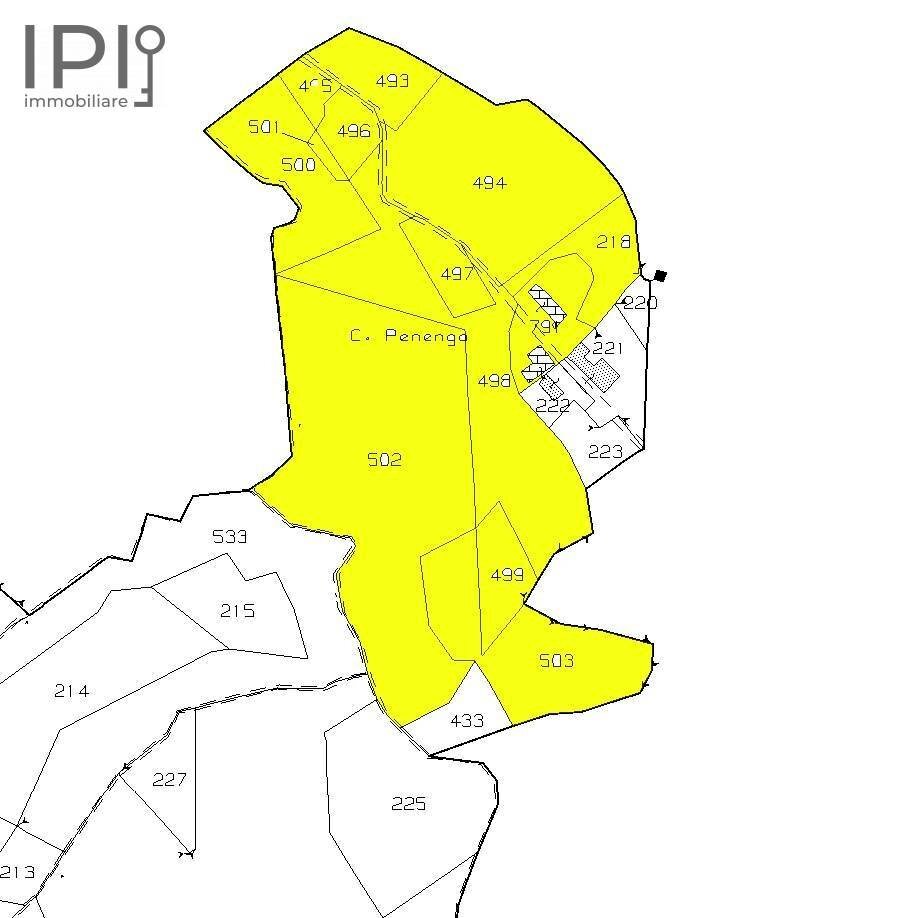 cadastral map of land - Rustico regione penenghi
 
52, Cassinasco - planimetria 1