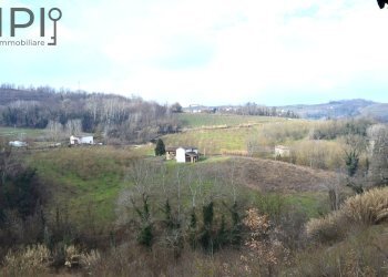 view from the house - Rustico regione penenghi
 
52, Cassinasco - foto 38