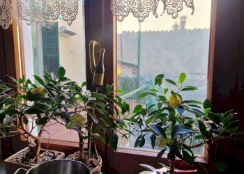 Foto 9 - Appartamento Cairo Montenotte - foto 9