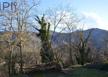 Foto 19 - Rustico loc pastori, Murialdo - foto 19