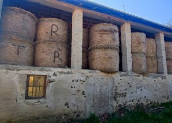 Foto 11 - Rustic Reg Tibaldi
 
5, Pareto - photo 11