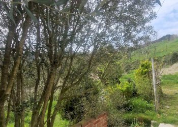 Foto 12 - Villa Valle Zani, Cavatore - foto 12