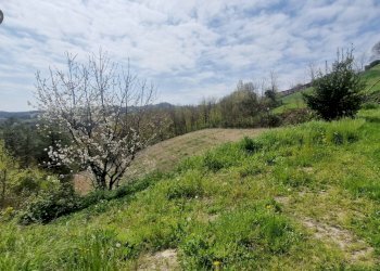 Foto 48 - Villa Valle Zani, Cavatore - foto 48