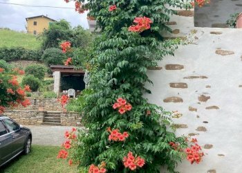 Foto 12 - Villa Reg Oltrebormida
 
20, Ponti - foto 12