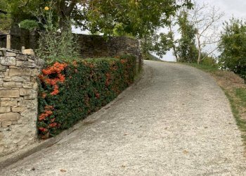 Foto 14 - Villa Reg Oltrebormida
 
20, Ponti - foto 14