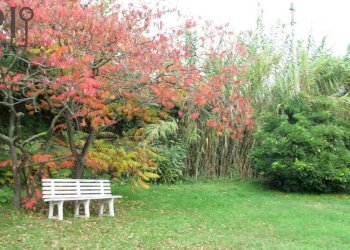 Foto 31 - Villa Reg Oltrebormida
 
20, Ponti - foto 31