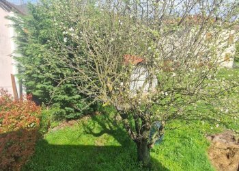 Foto 10 - Villa Dego - foto 10