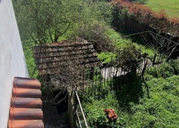 Foto 12 - Villa Dego - foto 12