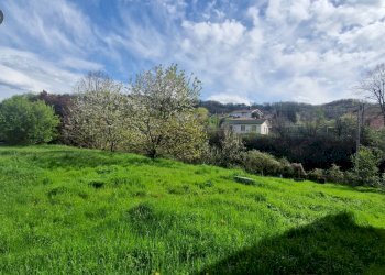 Foto 20 - Villa Dego - foto 20